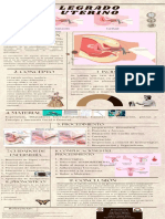 Legrado Uterino Instrumentado y Aspiracion Mecanica Endouterina | PDF ...