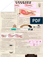 Infografía de Proceso Periódico Vintage Antiguo Marrón