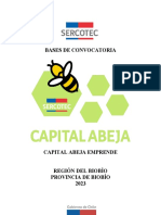 Bases-Abeja-EMPRENDE-Biobío-Prov-Biobío-2023-V°B°