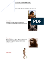 Homo Austrolopithecus