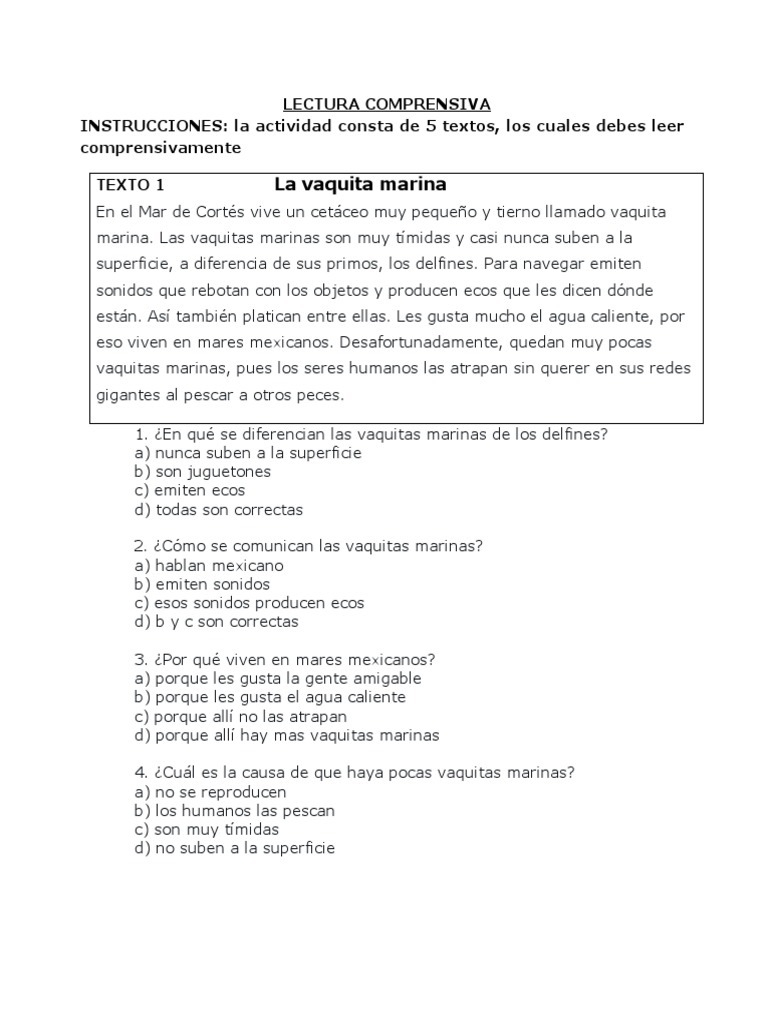 Comprension Lectora Quinto Basico | PDF | Panes | Estrellas