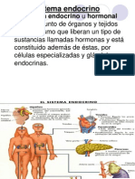 SISTEMA_ENDOCRINO_