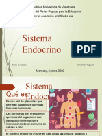 Sistema Endocrino Janismar2
