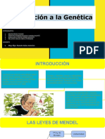Seminario 4 - Genética