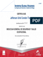 Jefferson Uriel Condori Torres: Inducción General de Seguridad Y Salud Ocupacional