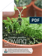 Garden Practice Sowing Without Peat