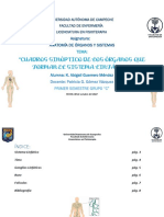 Actividad 2.1.2 Cuadros Sinópticos - GuerreroKeila