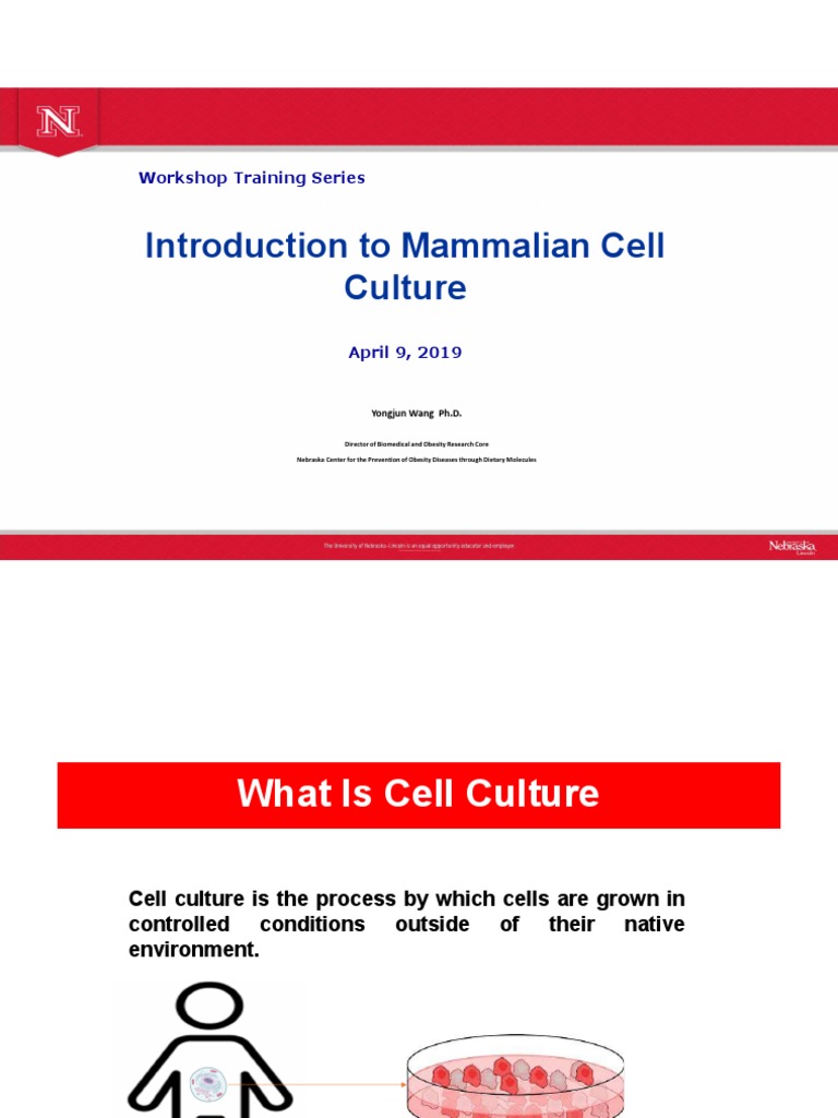 Tissue and Cell Culture PDF