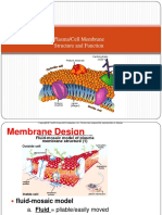 3-Plasma Membrane