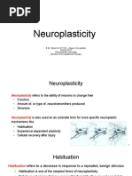 Principles of Neuroplasticity Explained | PDF | Neuroplasticity ...