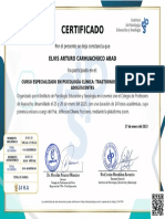 Certificado de Asistencia PSI-4