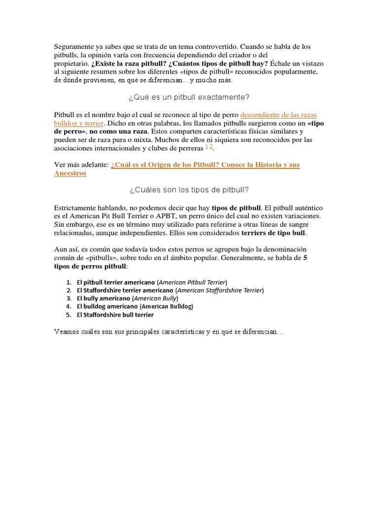 Cachorro Pitbull de 6 Meses: O Melhor Amigo, image size:768x1024