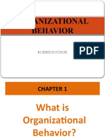 Organization Behavior