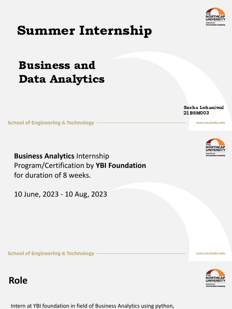 Business Analytics Internship Summary | PDF