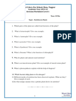 Revision Worksheet PT1 GRADE 7 PDF