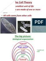 Cells Are The Smallest Unit of Life - All Organisms Are Made of One or More - All Cells Come From Other Cells