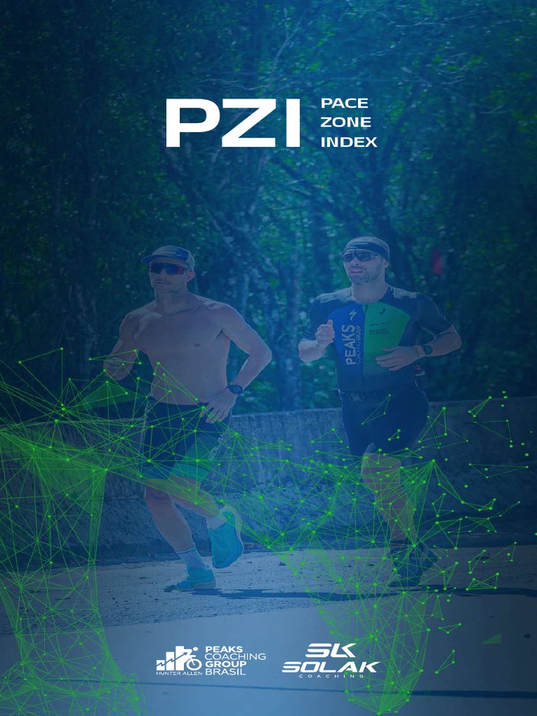 Zonas PZI Peaks Comp | PDF