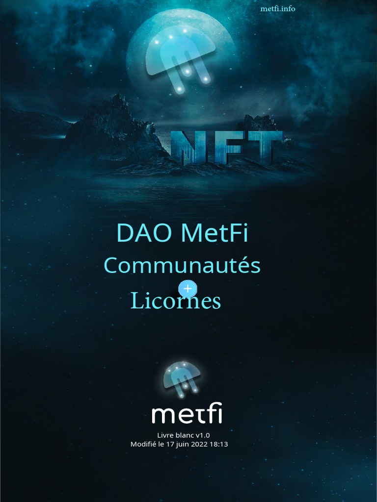 Metfi FR Whitepaper | PDF