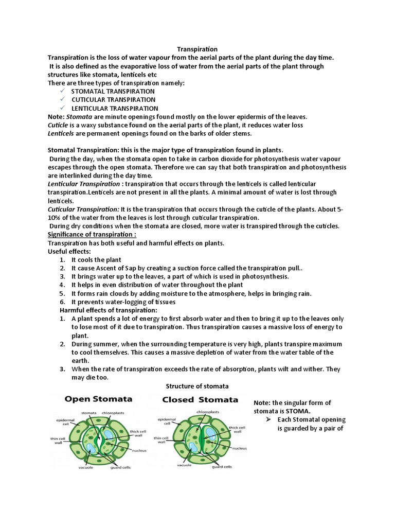 Transpiration Notes PDF