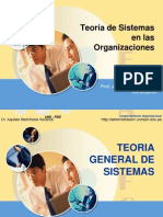 Teoria de Sistema en Las Organizaciones III