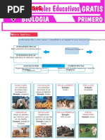 Biocenosis-para-Primero-Grado-de-Secundaria
