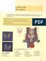 Thyroïde Et Parathyroïdes - Thymus - Partie 7 Organes de La Vision - Organes Vestibulo-Cochléaire - Organes de L - Olfaction