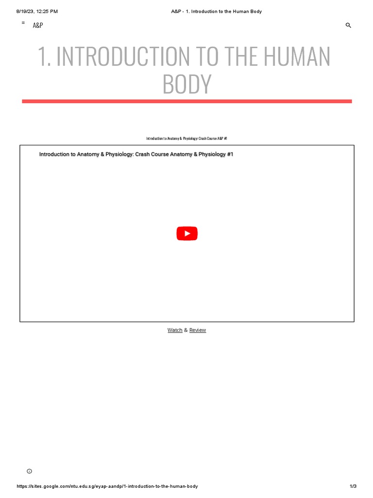 A&P - 1. Introduction To The Human Body | PDF