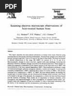 ForensicSciInter_074_0029