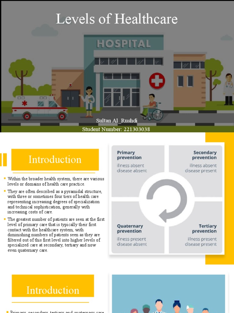 Levels of Healthcare PDF