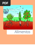 Agroecologia Alimentos Os.impactos.da