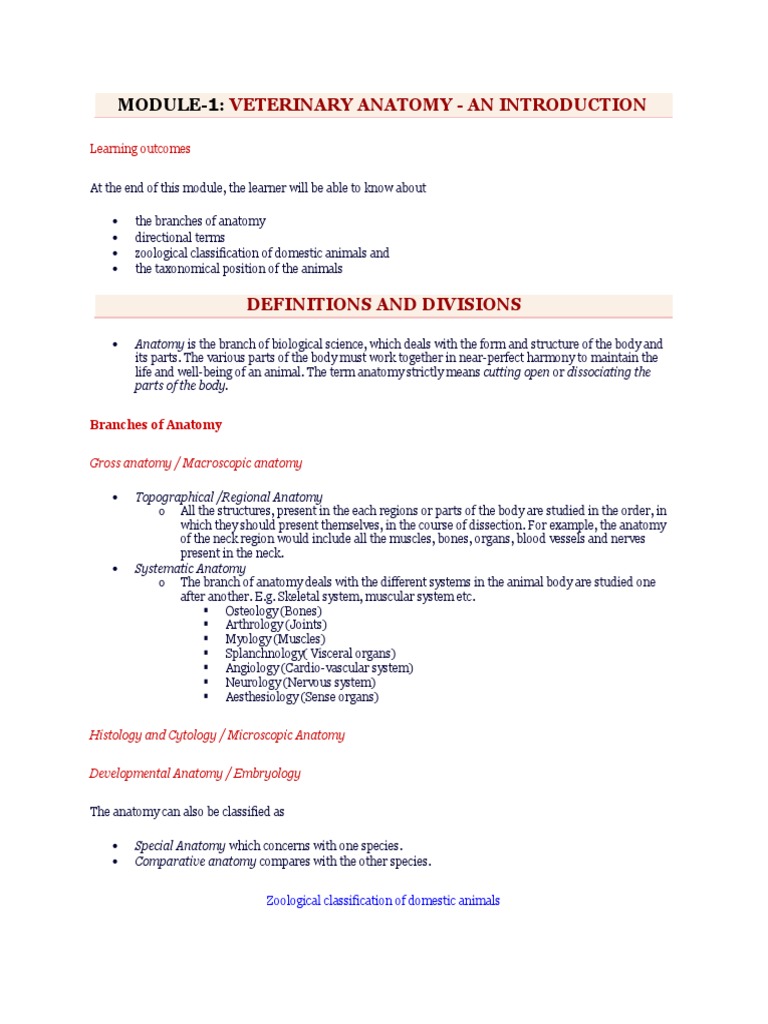 111 Veterinary Gross Anatomy I (Osteology, Arthrology & Biomechanics) PDF Anatomical Terms