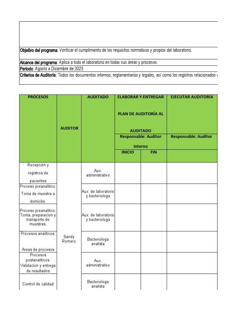 Plan de Auditoría Interna 2023 | PDF | Negocios | Informática