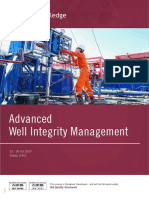 Advanced Well Integrity Management