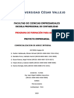 Formato Plan de Negocio Comercializadora Bellavista Sac