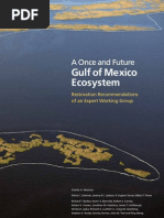 Download A Once and Future Gulf of Mexico Ecosystem by PewEnvironmentGroup SN66616879 doc pdf