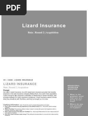 Lizard Insurance