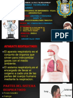 Sistema Respiratorio Modificado Elizabeth