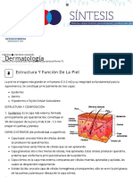 Sintesis - Med.uchile - CL - Estructura y Función de La Piel
