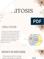 MITOSIS