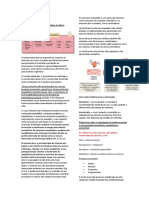 Problema 4 - Uc4