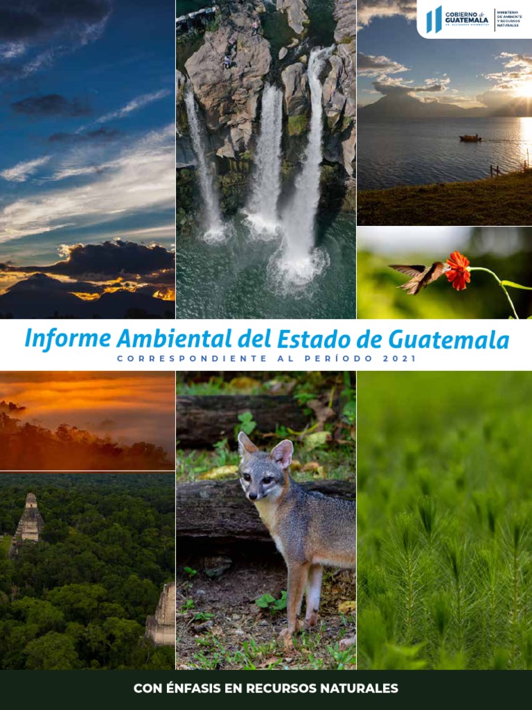 informe-ambiental-del-estado-de-guatemala-pdf