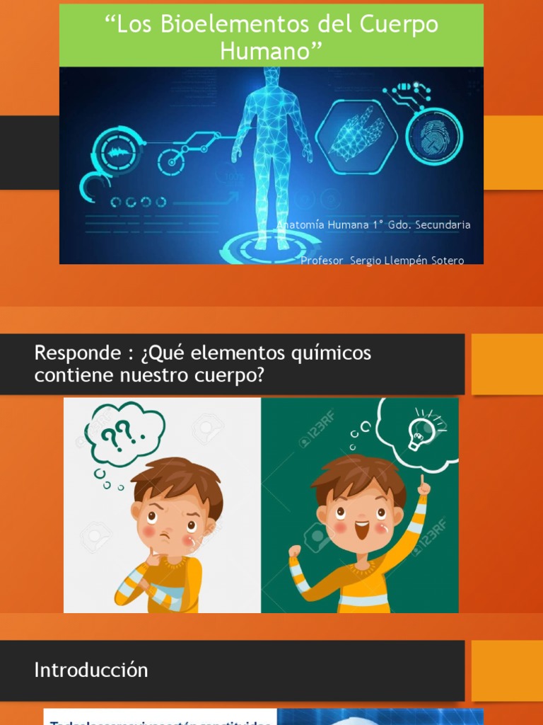 Bioelementos Esenciales del Cuerpo Humano | PDF