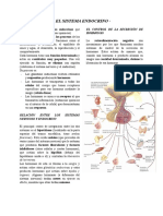 Resumen S. Endocrino 