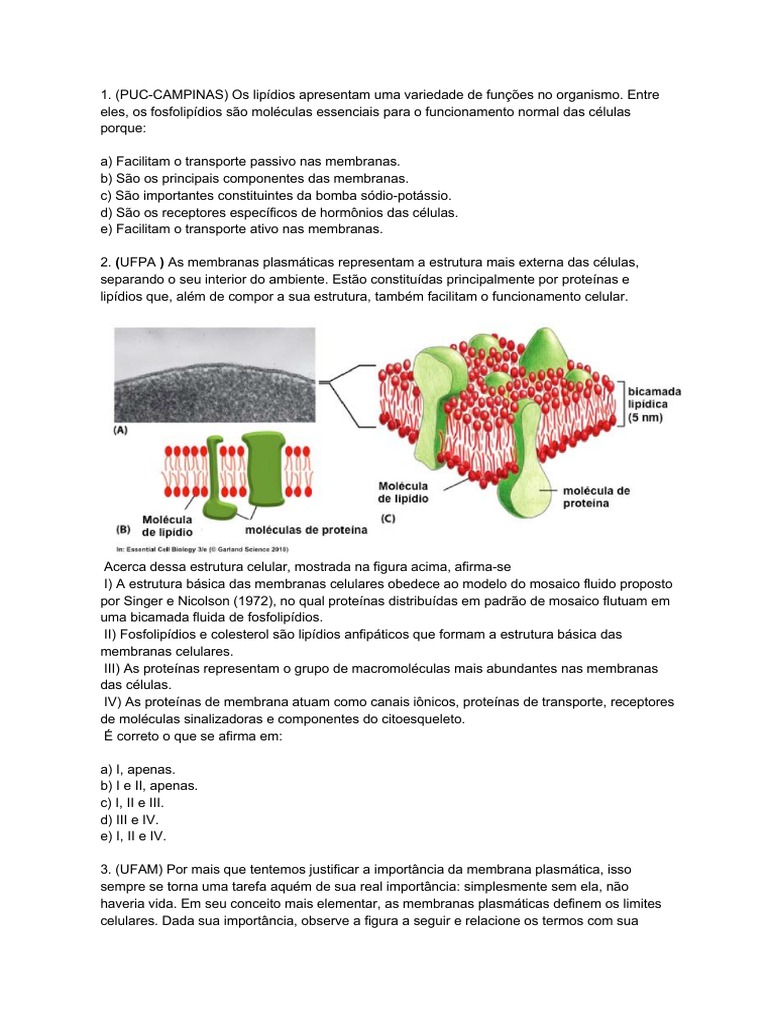 Lista de Exercícios - Membrana Plasmática | Download grátis PDF ...