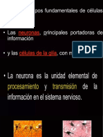 Medio Celular - Sensibilidad Doctor Rafael Del Aguila