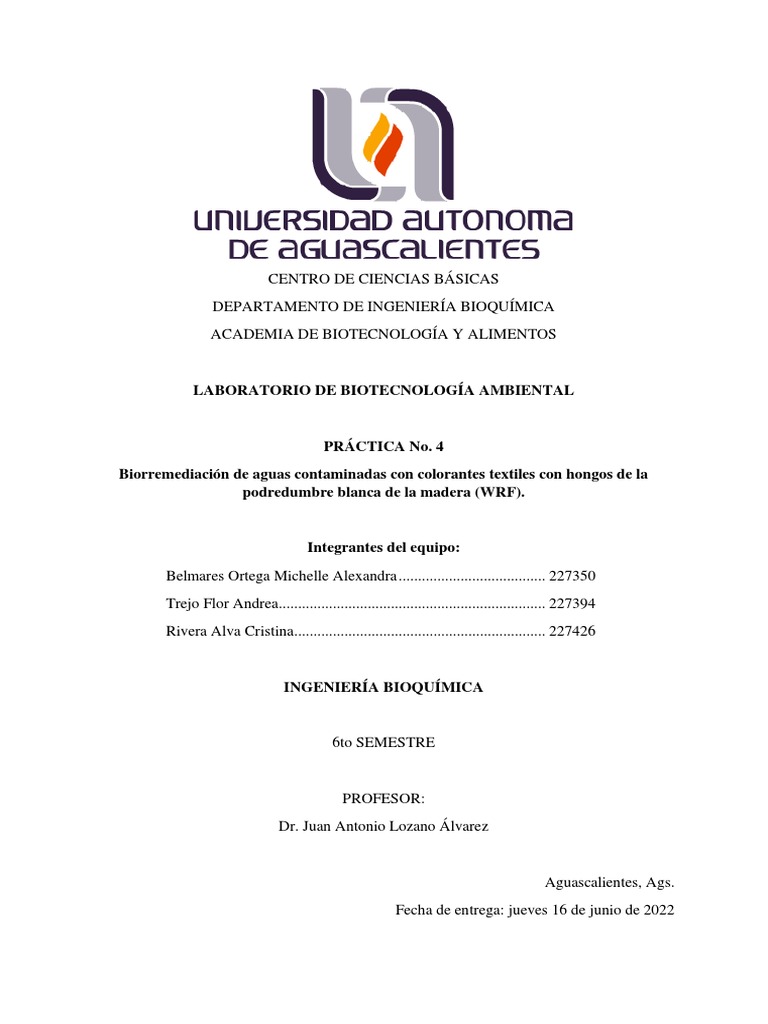 pr-ctica-3-ambiental-pdf