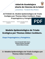 Modelo Epidemiológico de Triada Ecológica Por Thomas Aidan Cockburn.