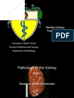 4th Shift - Renal Pathology CDSA