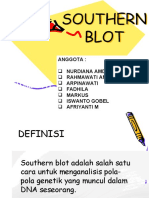 Southern Blot