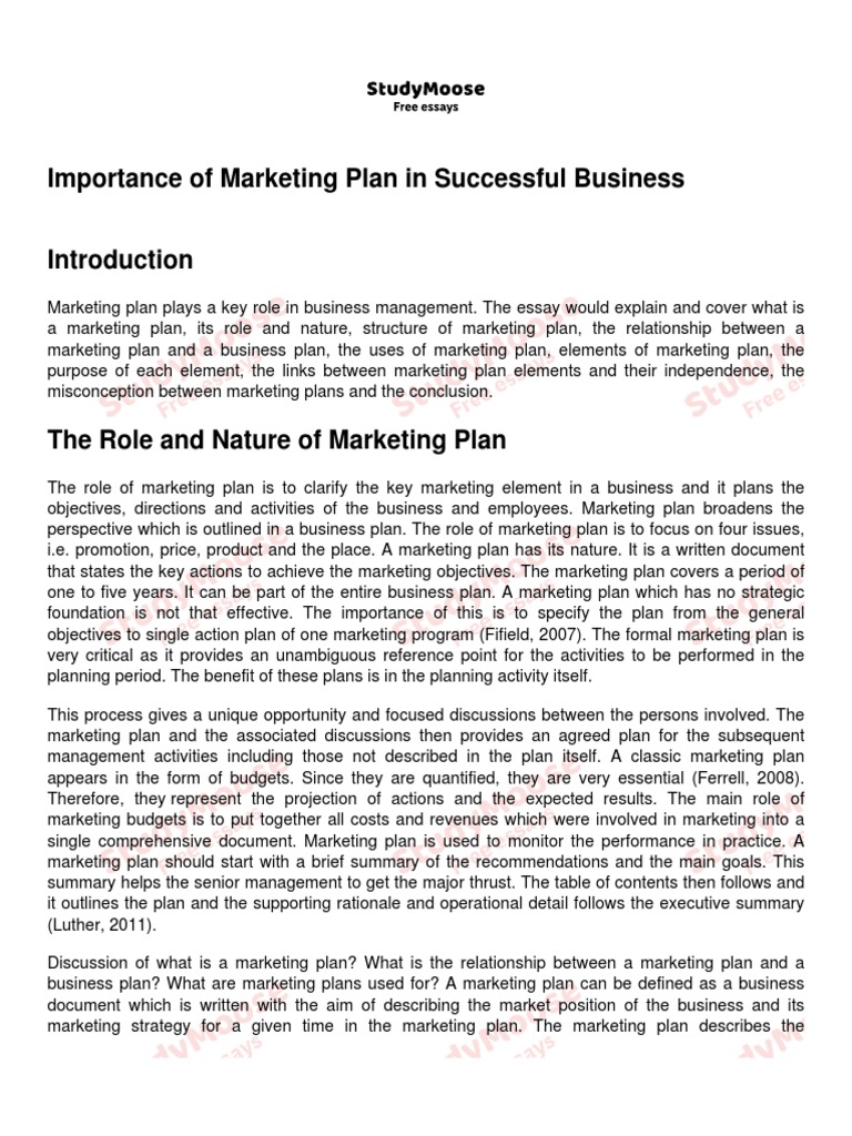 importance of marketing plan essay